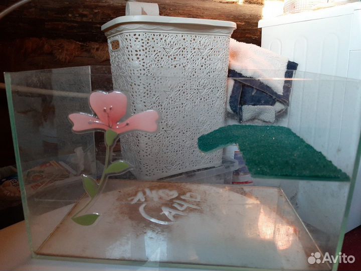 Черепашник