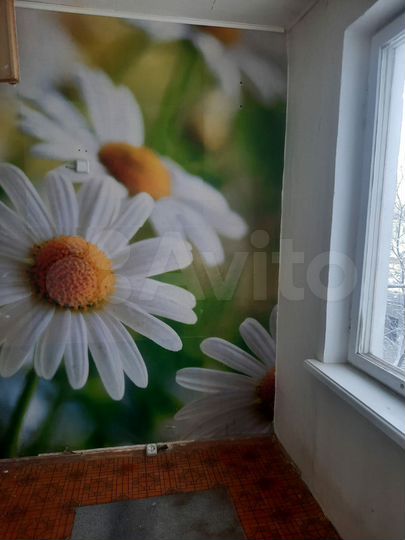 2-к. квартира, 41,2 м², 4/5 эт.