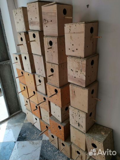 Гнёзда для волнистый попугаев