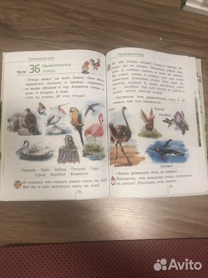 Окружающий мир 1 класс