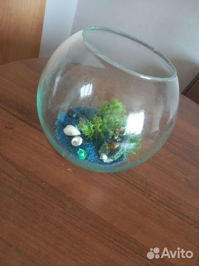 Аквариум