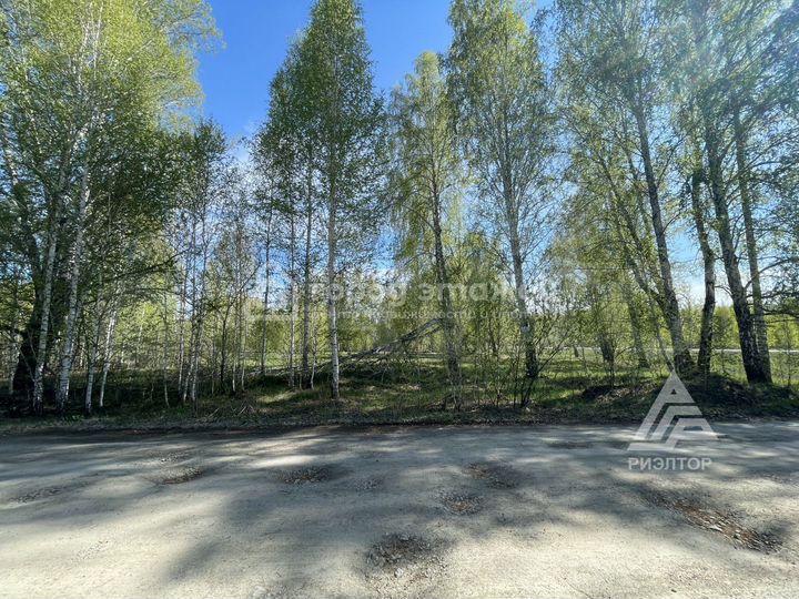 Участок 19,3 сот. (ИЖС)