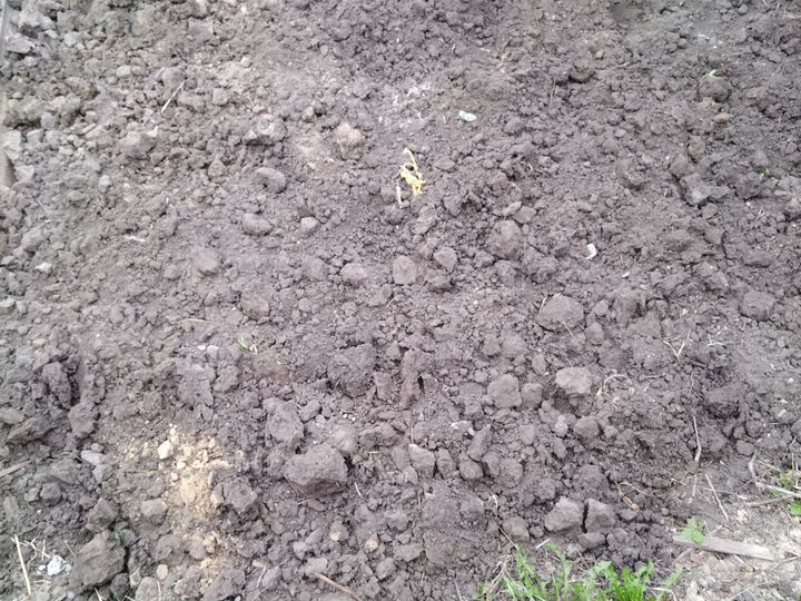 Участок 5 сот. (ИЖС)