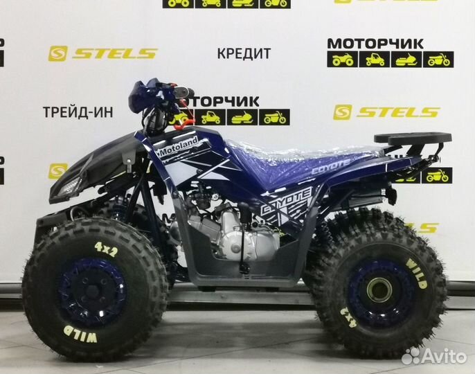Квадроцикл MotoLand ATV 125 coyote