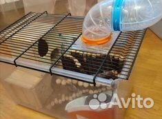 Террариум Novy 21 для мелк грызунов +куча всего