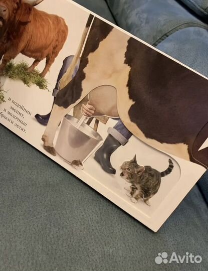 Книга тактильная Мэтью Ван Флит