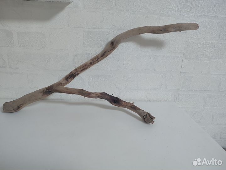 Коряги для аквариума