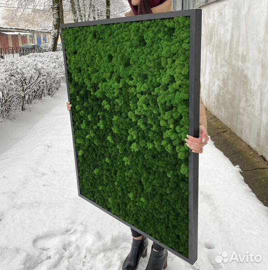 Фито картины