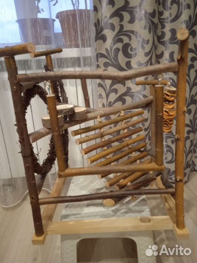 Стенд для птиц