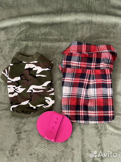 Одежда для маленьких собак