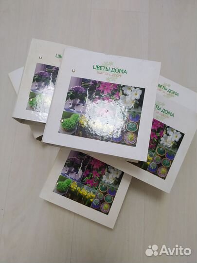 Карточки цветы дома