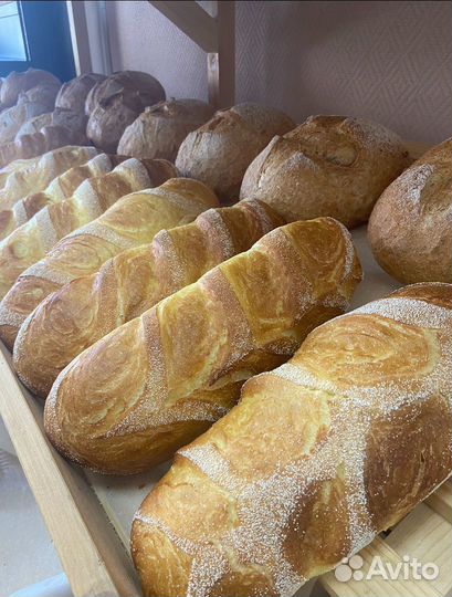 Готовый бизнес пекарня