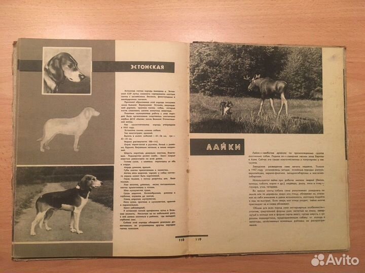 Служебное и охотничье собаководство 1964 г