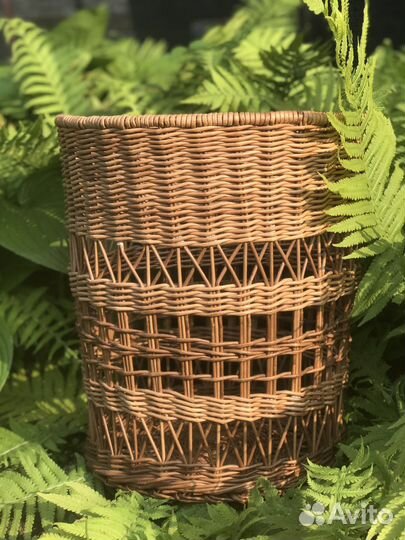 Саквояж и лозы