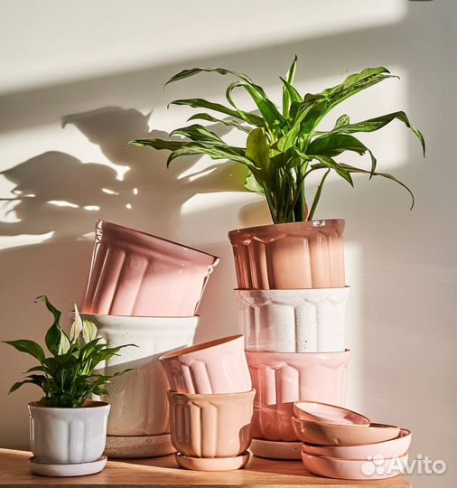 Кашпо/горшок на 8 марта