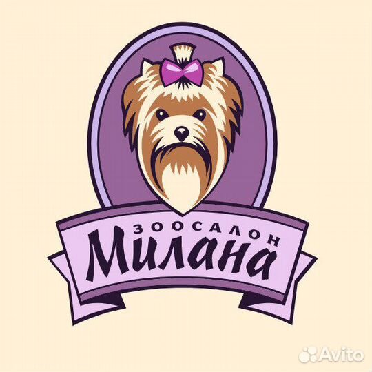 Администратор в зоосалон