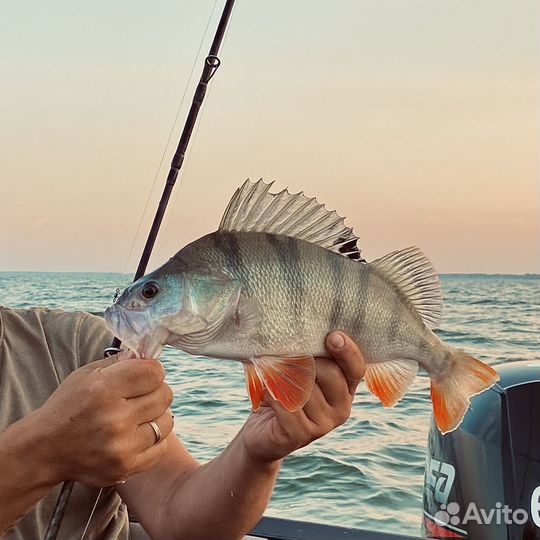 Рыбалка на катере