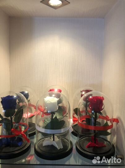 Вечная роза в колбе