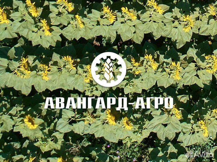 Электрогазосварщик