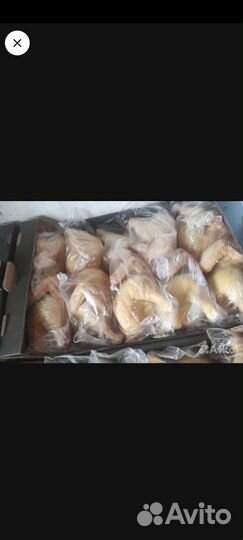 Домашние Кабардинские куры Халяль