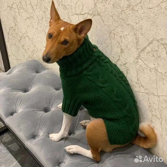 Вязаные свитера для собак. Пошив попон для собак
