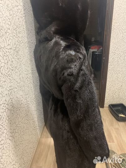 Шуба норковая