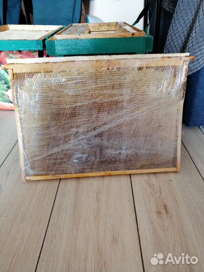 Мед 2023 года