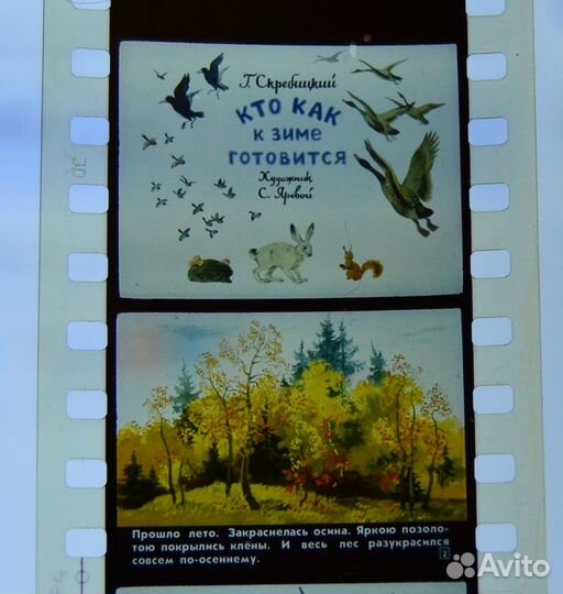 Учебные диафильмы для школы и р/р для дет садов