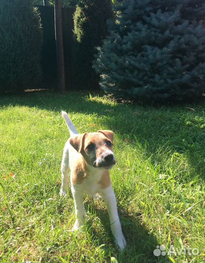 Готов к вязке