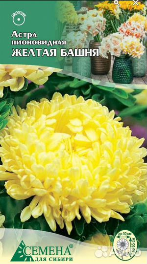 Астра пионовидная (башня жёлтая, белая, красная)