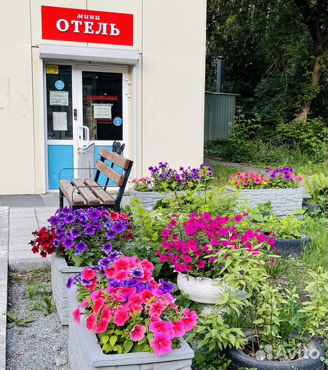 Требуется администратор в мини-отель 