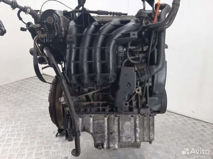Двигатель Volkswagen Golf 4 (1997 - 2006) 1.4 AKQ
