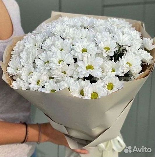 Хризантема. Букеты Цветы доставка