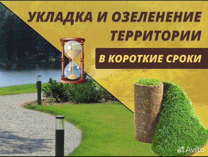 Рулонный газон под ключ Элитный