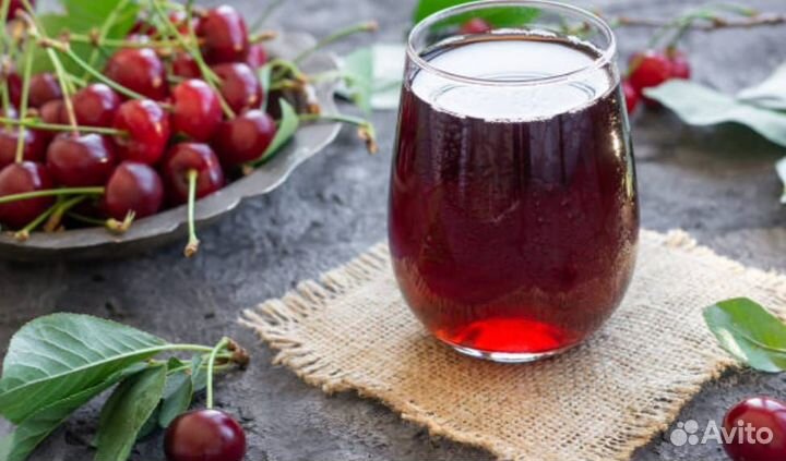 Саженцы вишни