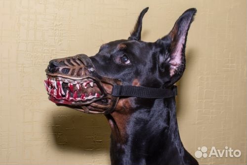 Дизайнерский намордник для собак