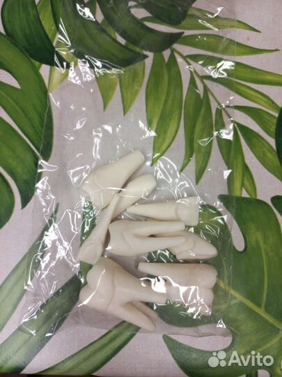 Стоматологическая модель верхней и нижней челюсти