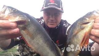 Рыбалка с гидом на Онежском озере