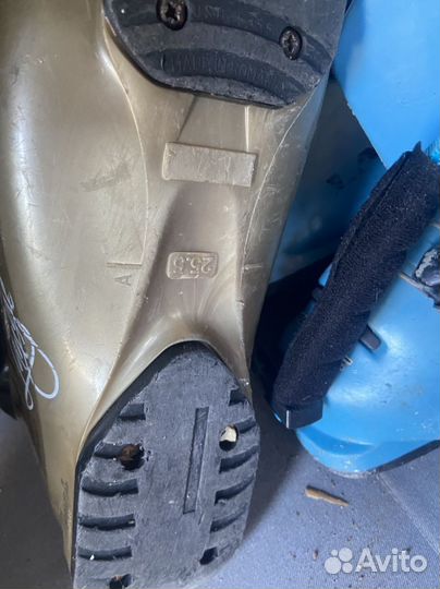 Горные лыжи