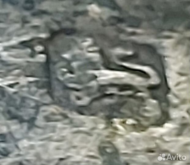 Антиквариат. Серебряный чайник Brook&Son Шотландия