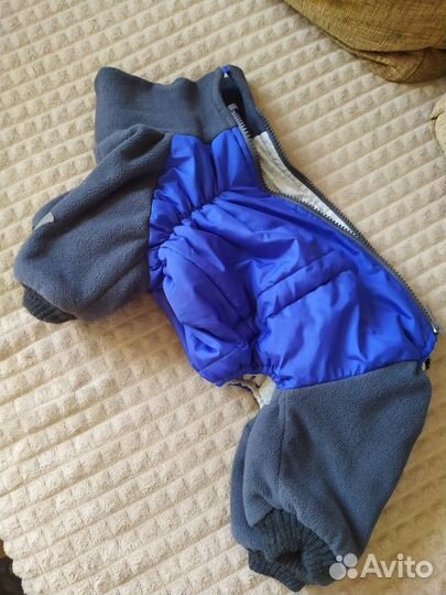 Одежда для средних собак