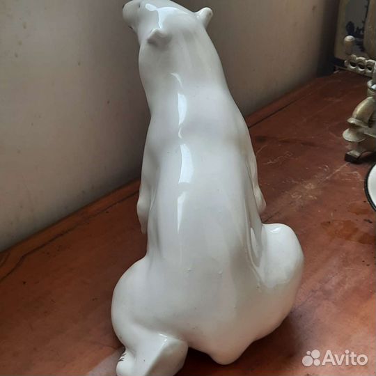 Белый медведь лфз