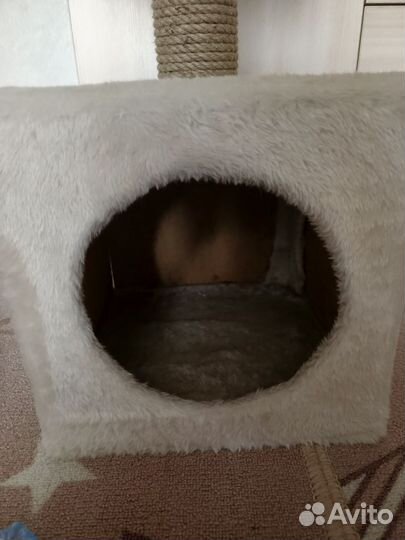 Когтеточка домик для кошки