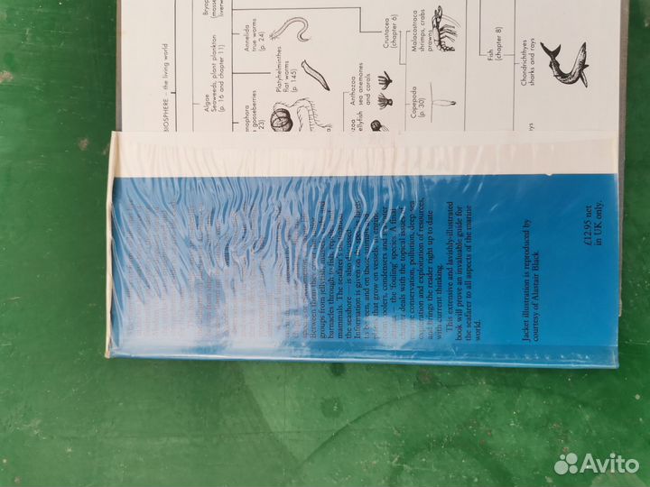 Энциклопедия Путеводитель моряка по морской жизни