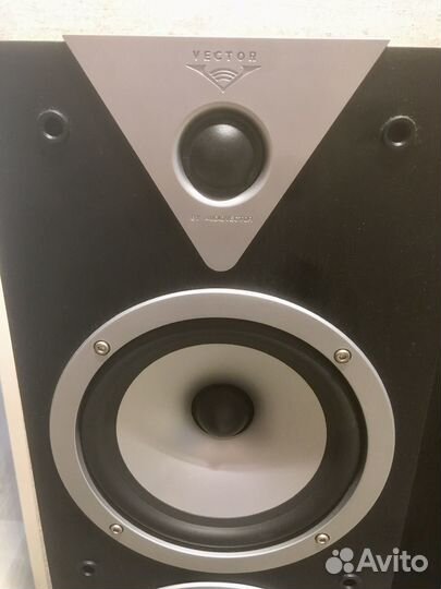 Колонки vector HX-300 от audio vector