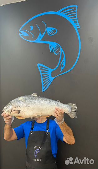 Свежая,слабосоленая и копченая семга/форель/кета