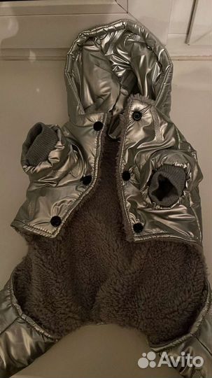 Одежда для собак