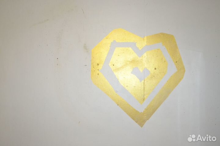 Передержка кошек и красноухих черепах