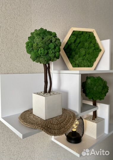 Топиарий из стабилизированного мха