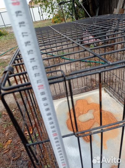 Клетка вольер для большой собаки бу